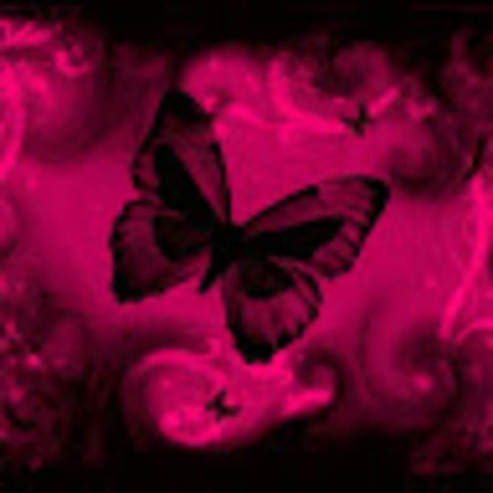 Meet your Posher, Lindy